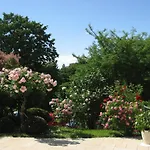 Anna 4* Badenweiler