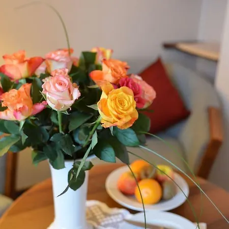 Anna Hotel 4*