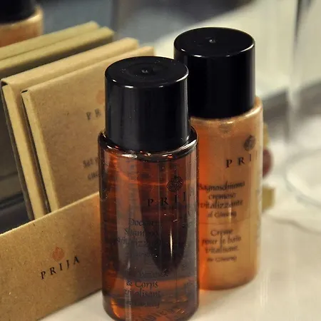 酒店 安娜酒店 4*