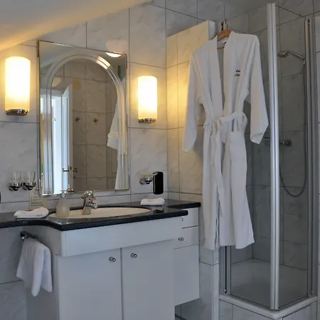 安娜酒店 4* 巴登韦勒