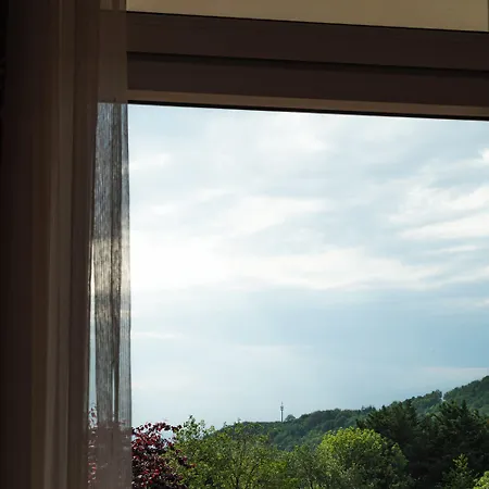 Hotel Anna 4*